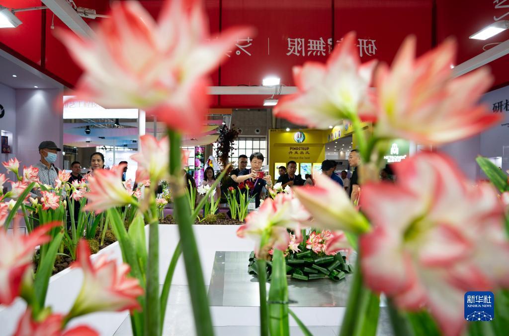 捕鱼游戏电脑版在线破解版